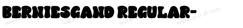 berniesgand regular字体转换